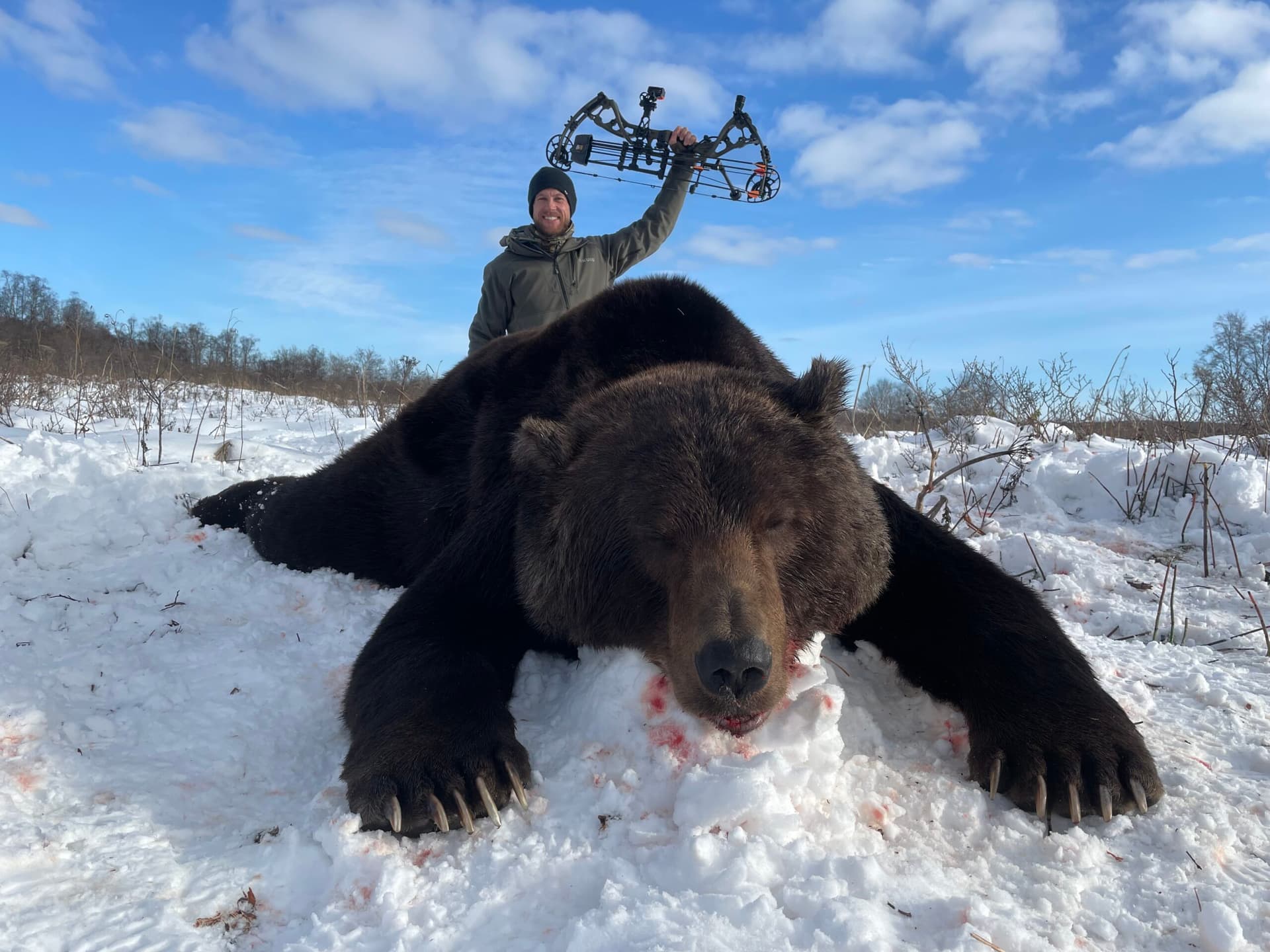 Photo d'illustration — Pourquoi les ours attaquent : l'Académie des sciences répond